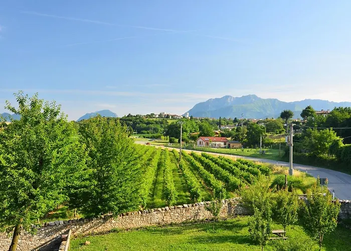 Agriturismo Borgo Floreani
